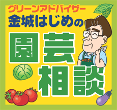 イベント 沖縄のホームセンターメイクマン